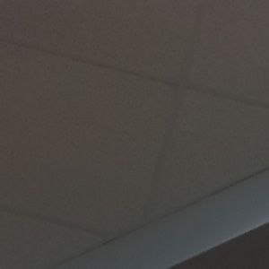 Meet your Posher, Daija